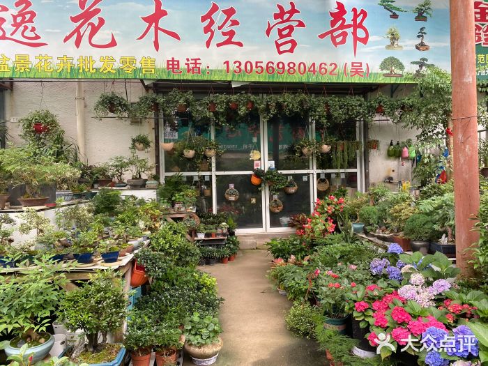 宁波花木市场在哪里