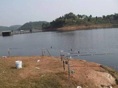 附近哪里有钓鱼场