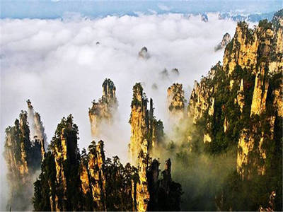 张家界本地旅游团
