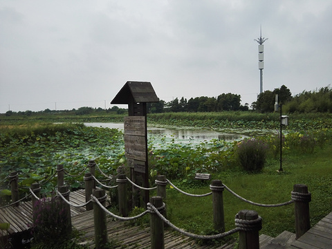 崇明旅游网