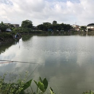 附近哪里有钓鱼场