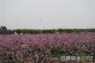 上海滨海世外桃源