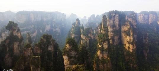 张家界本地旅游团