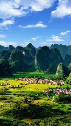 张家界本地旅游团