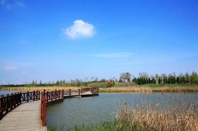 崇明旅游网