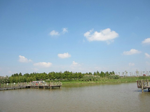 崇明旅游网