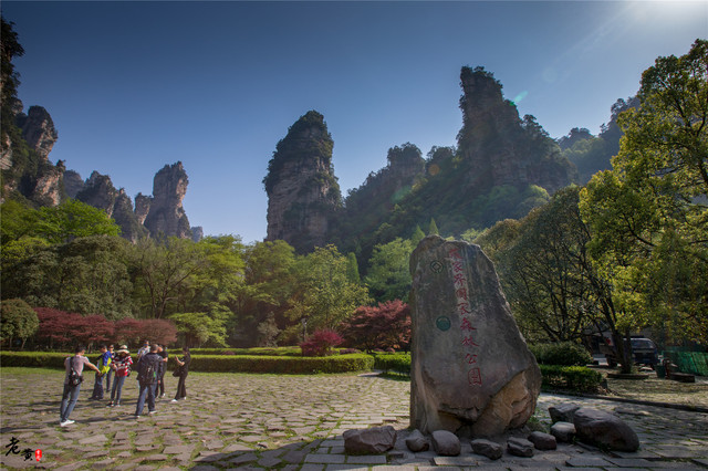 张家界本地旅游团