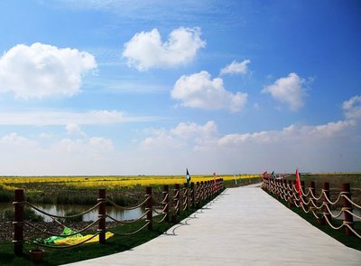 崇明旅游网