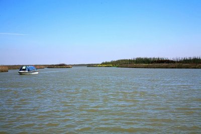 崇明旅游网