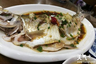 有什么鱼好吃