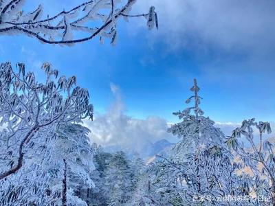 昆明轿子雪山