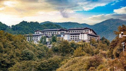 神农架阿尔卡迪亚森林酒店