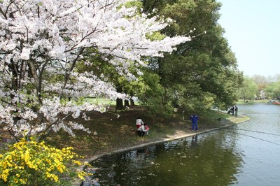 上海中山公园游玩攻略