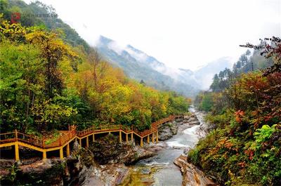 附近的旅游景点自驾游