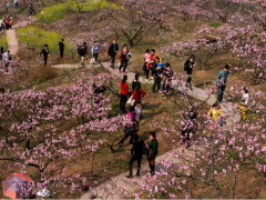 三月重庆旅游攻略