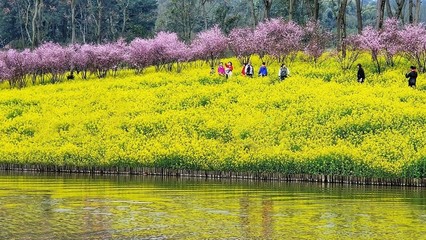 三月重庆旅游攻略