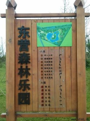 东营有什么旅游景点