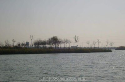 东营有什么旅游景点
