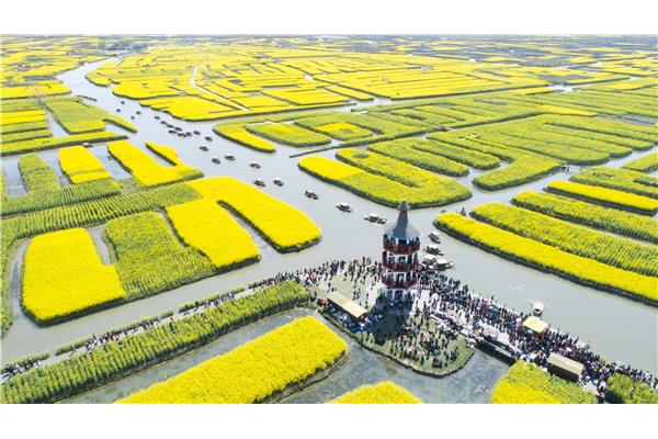 千垛菜花风景区