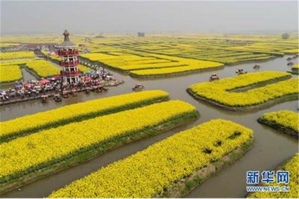 千垛菜花风景区