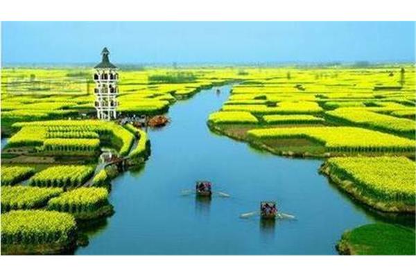 千垛菜花风景区