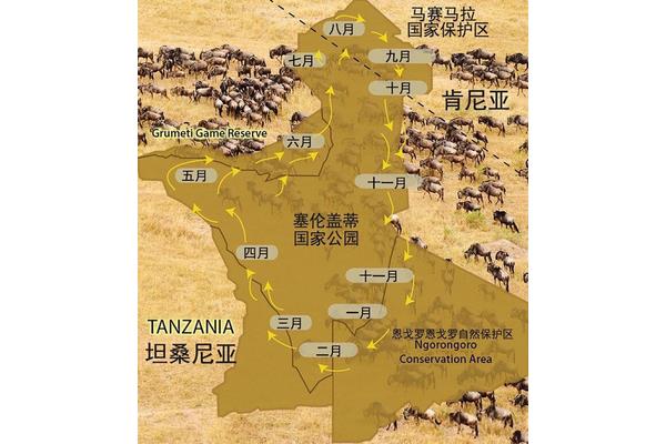怎样制作旅游攻略