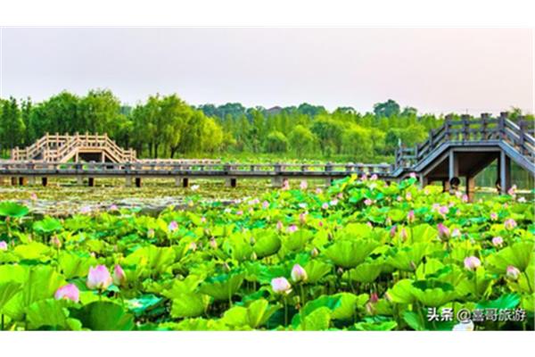 长兴的旅游景点有哪些