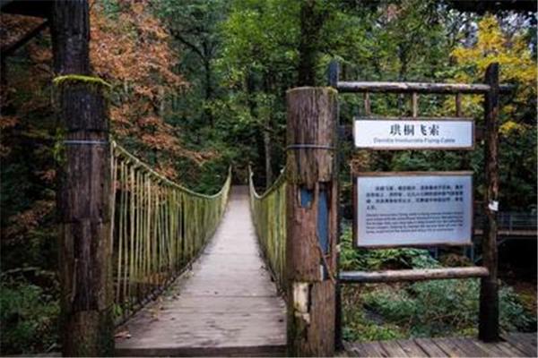4a景区