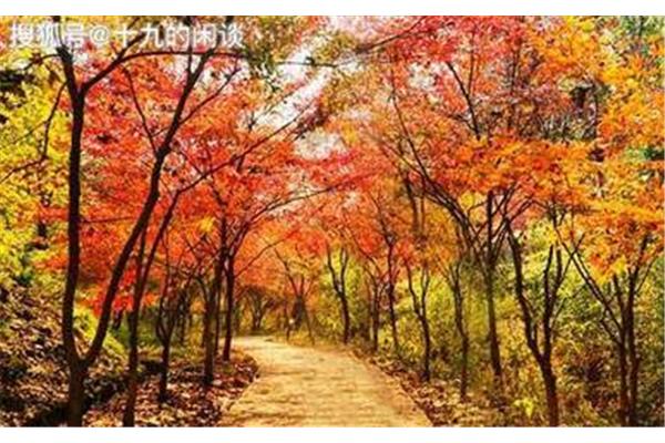 秋天江苏最美的地方
