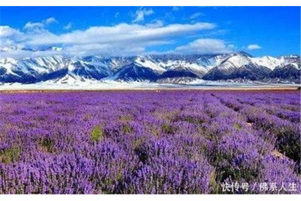 6月旅游最佳地方