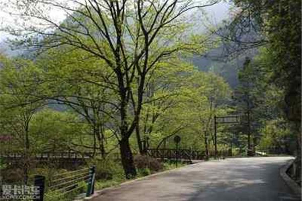 唐家河风景区住宿