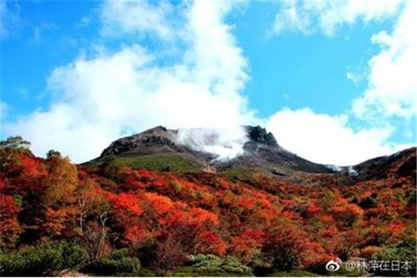 高尾山攻略