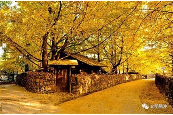 云南腾冲旅游景点