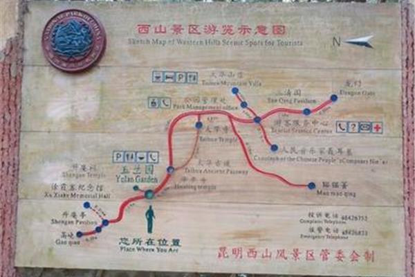 森林公园在哪